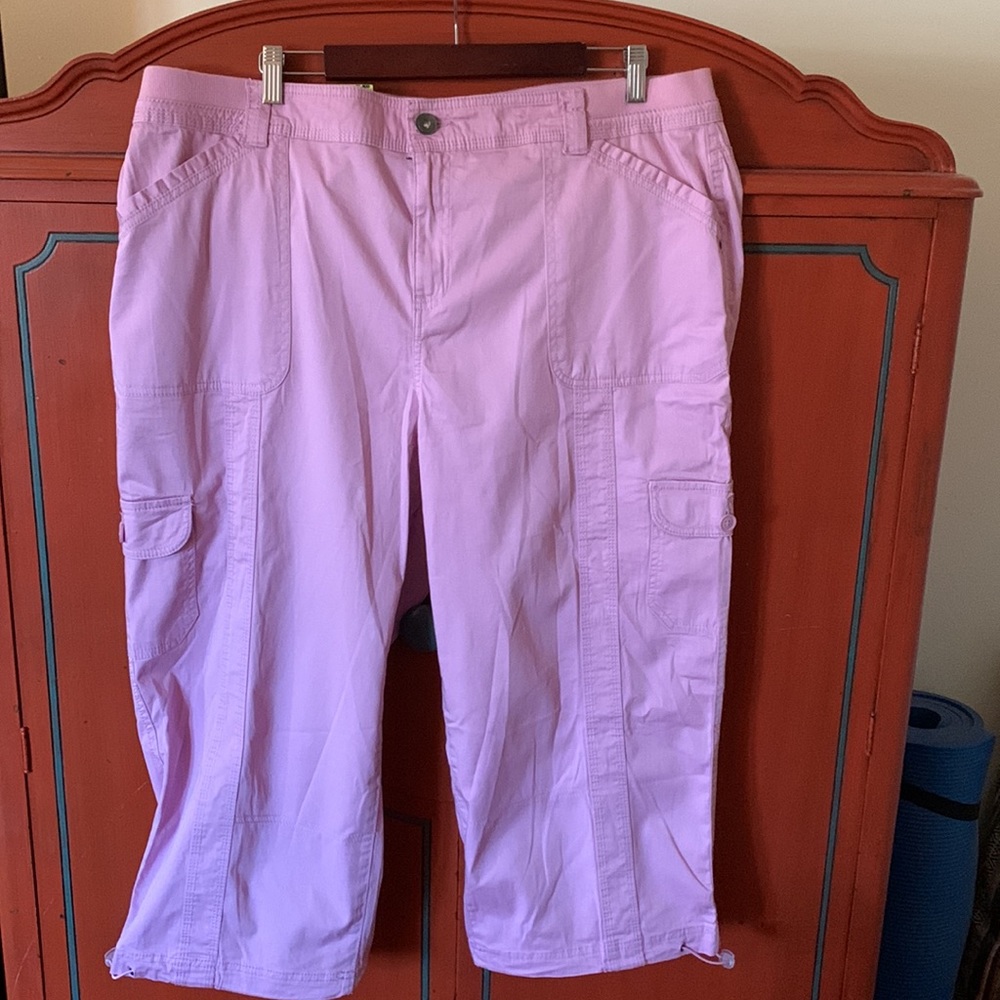 Style & Co Pink Capris size 18W NWT